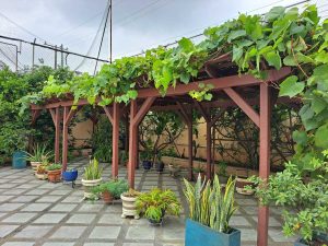 Pérgola exterior jardin madera plástica